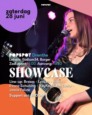Popspot drenthe showcase poster